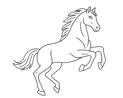 desenhos de cavalos para colorir e imprimir para imprimir e colorir - imagem 14
